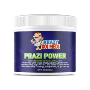 Prazi Power