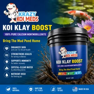 Koi Klay Boost